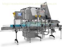 【W(wǎng)L-FGZ-200直線粉劑灌裝機(jī)】全解析 技術(shù)、品牌與市場(chǎng)供應(yīng)指南